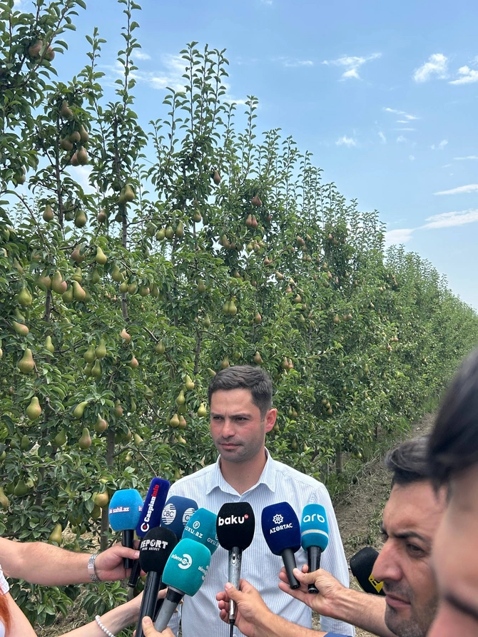 Dövlət dəstəyi şimal bölgəsində aqrar inkişafı necə dəyişir? – REPORTAJ
