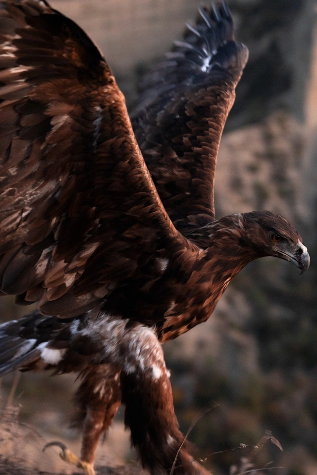 Leyla Əliyeva və Arzu Əliyeva Qaxda Axar-Baxar Milli Parkının açılış mərasimində iştirak ediblər Leyla Əliyeva və Arzu Əliyeva Qaxda Axar-Baxar Milli Parkının açılış mərasimində iştirak ediblər