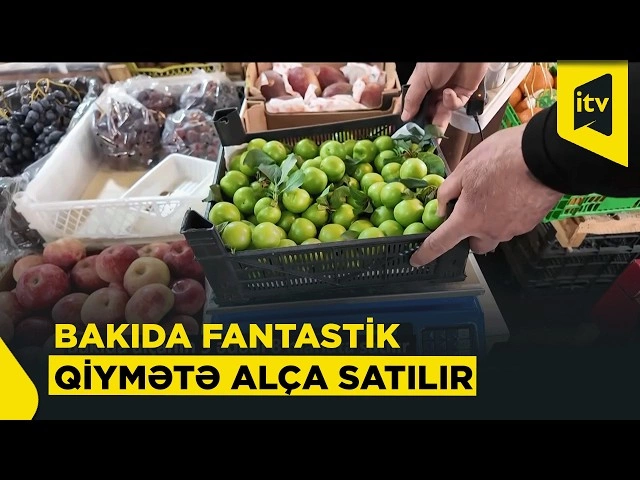 Yazın dadı cib yandırır: Cəmi beş ədəd alça yeddi manata satılır