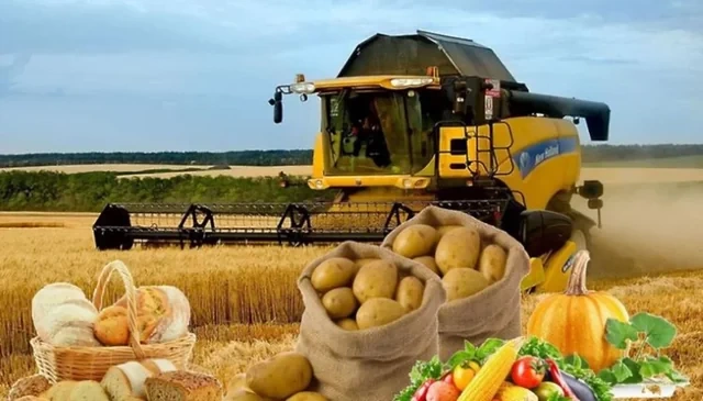 Fermerin qayğısı nədir? - Aqrar sahə üçün süni intellekt və vahid bazar təklifi