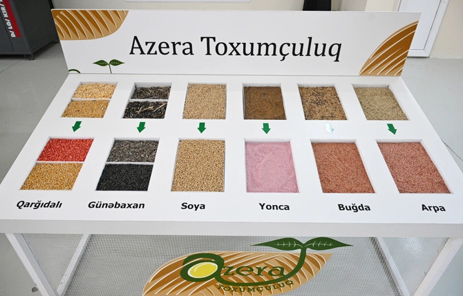 Sabirabad Sənaye Məhəlləsində toxum istehsalı müəssisəsinin fəaliyyəti ilə tanışlıq Sabirabad Sənaye Məhəlləsində toxum istehsalı müəssisəsinin fəaliyyəti ilə tanışlıq