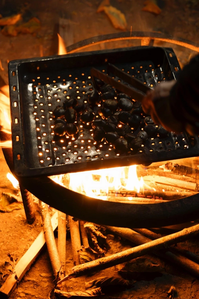 Leyla Əliyeva Qəbələdə "Gənc arıçı" layihəsinin iştirakçısı ilə görüşüb Leyla Əliyeva Qəbələdə "Gənc arıçı" layihəsinin iştirakçısı ilə görüşüb