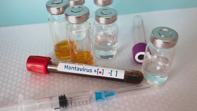 Hantavirusla bağlı yeni YOLUXMALAR