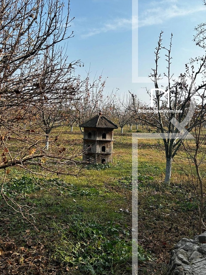 Halvaçılığdan ipəkçiliyə, tarixin rəngli pəncərələrinə - Şəki SƏFƏRİ