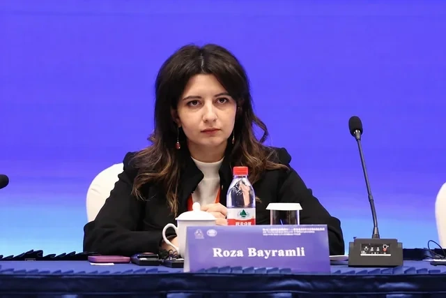 Qara dənizdə təhlükə, Orta Dəhlizdə fürsət: Azərbaycan üçün yeni imkanlar yaranır?