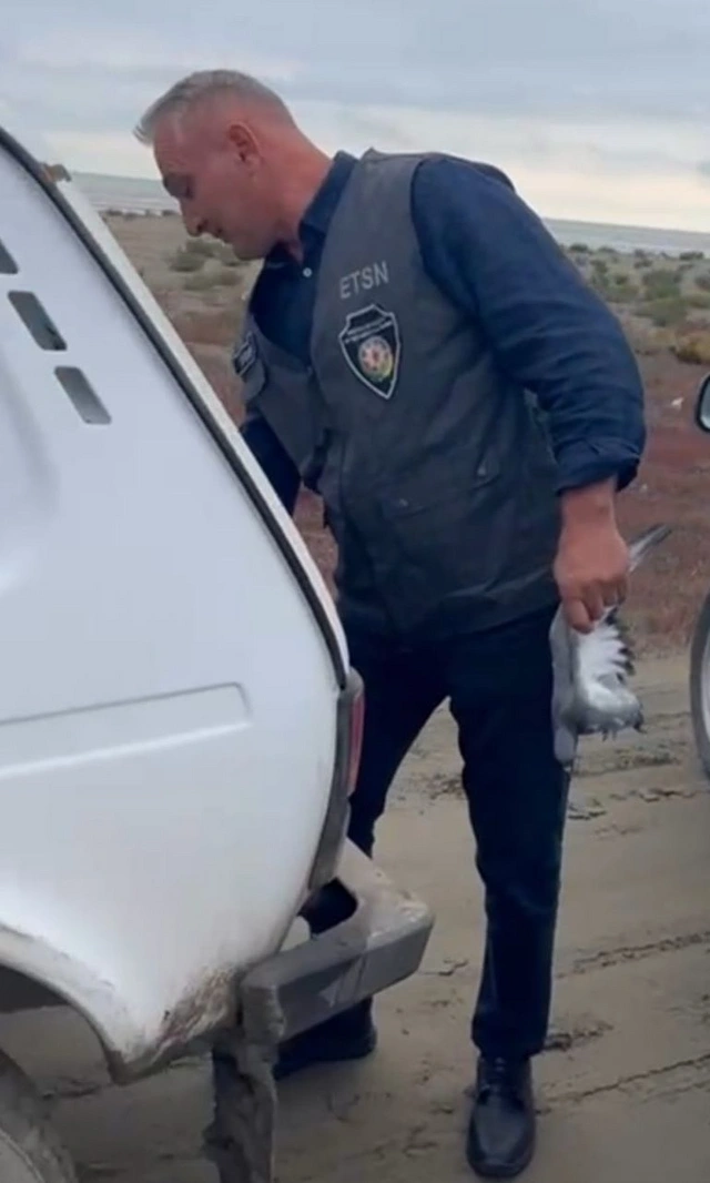 Şahin ovlamağa çalışan şəxs saxlanıldı Şahin ovlamağa çalışan şəxs saxlanıldı