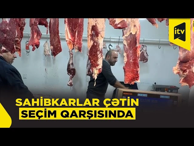 Qayda və qazanc arasında qalan sahibkarlar