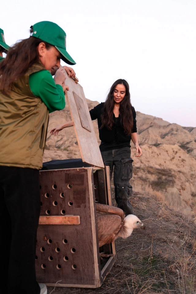 Leyla Əliyeva və Arzu Əliyeva Qaxda Axar-Baxar Milli Parkının açılış mərasimində iştirak ediblər Leyla Əliyeva və Arzu Əliyeva Qaxda Axar-Baxar Milli Parkının açılış mərasimində iştirak ediblər