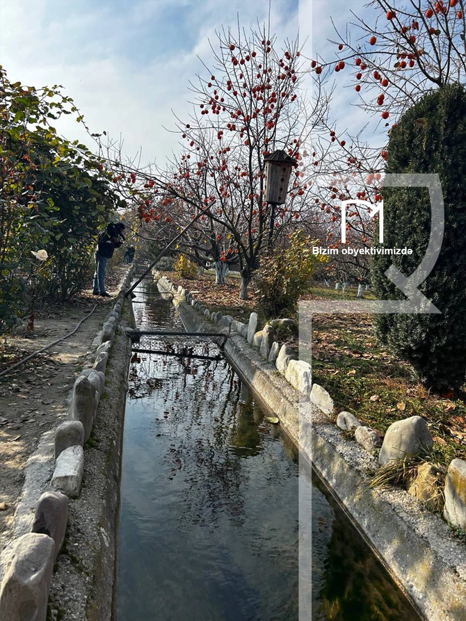 Halvaçılığdan ipəkçiliyə, tarixin rəngli pəncərələrinə - Şəki SƏFƏRİ