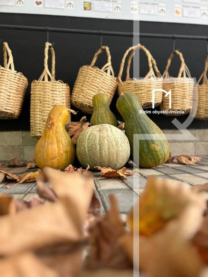 Halvaçılığdan ipəkçiliyə, tarixin rəngli pəncərələrinə - Şəki SƏFƏRİ