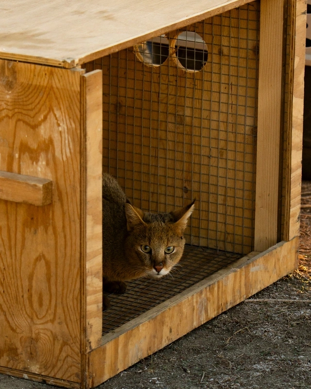 Leyla Əliyeva və Arzu Əliyeva Qaxda Axar-Baxar Milli Parkının açılış mərasimində iştirak ediblər Leyla Əliyeva və Arzu Əliyeva Qaxda Axar-Baxar Milli Parkının açılış mərasimində iştirak ediblər