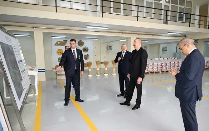 Sabirabad Sənaye Məhəlləsində toxum istehsalı müəssisəsinin fəaliyyəti ilə tanışlıq Sabirabad Sənaye Məhəlləsində toxum istehsalı müəssisəsinin fəaliyyəti ilə tanışlıq
