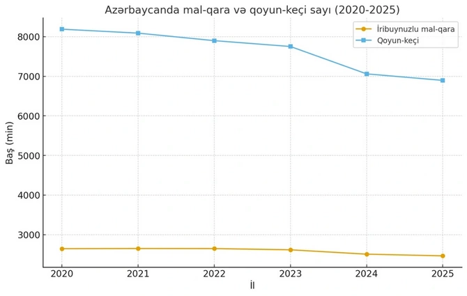 Azərbaycanda ətin bahalaşması davam edəcəkmi?