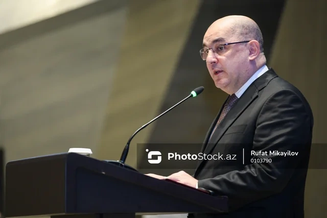 Komitə sədri gömrükdə sahibsiz qalan mallardan DANIŞDI