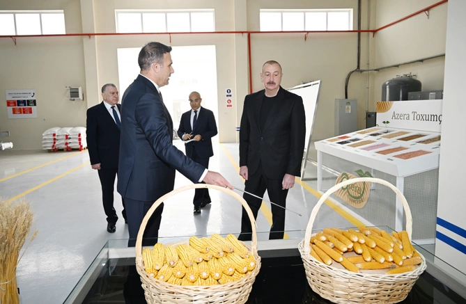 Sabirabad Sənaye Məhəlləsində toxum istehsalı müəssisəsinin fəaliyyəti ilə tanışlıq Sabirabad Sənaye Məhəlləsində toxum istehsalı müəssisəsinin fəaliyyəti ilə tanışlıq