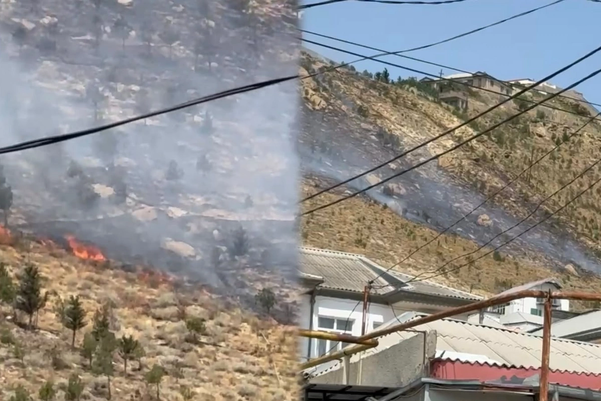 Səbaildə səhərdən başlayan yanğın davam edir: Külək alovu ətrafa yayır