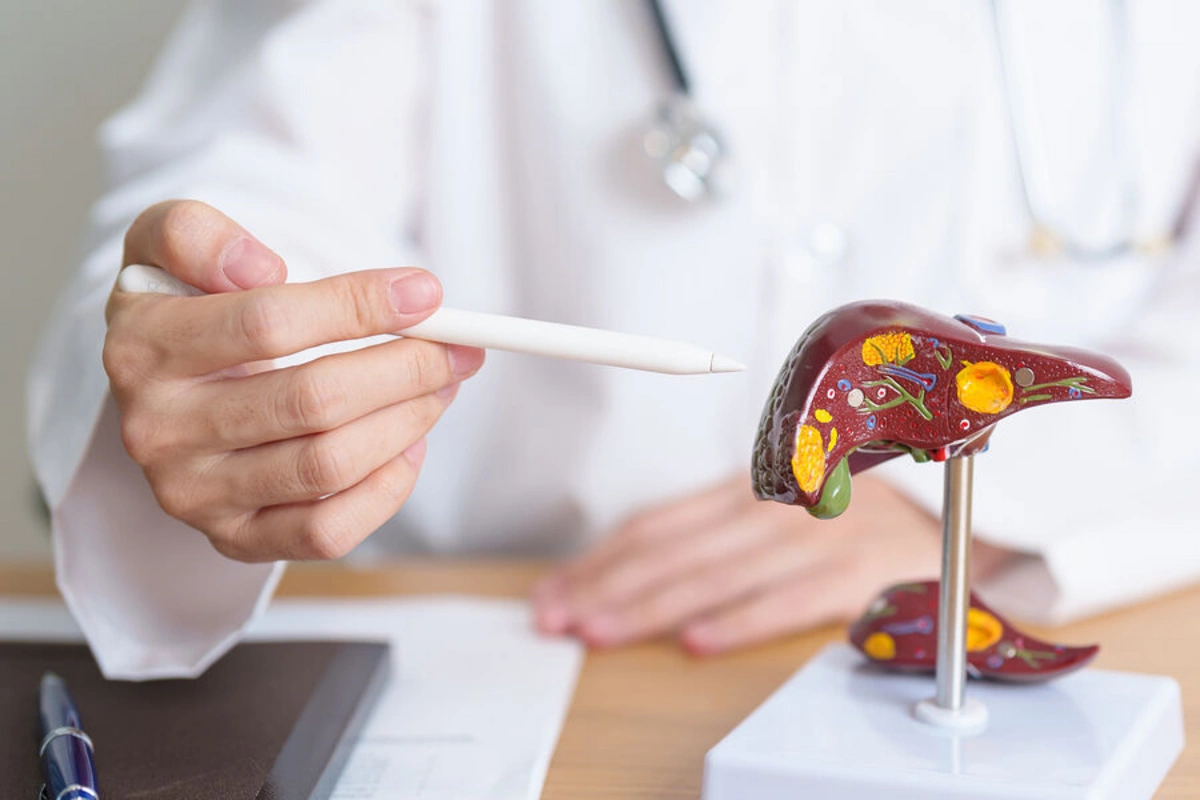 In Japan, AI was taught to detect liver diseases from chest X-rays In Japan, AI was taught to detect liver diseases from chest X-rays