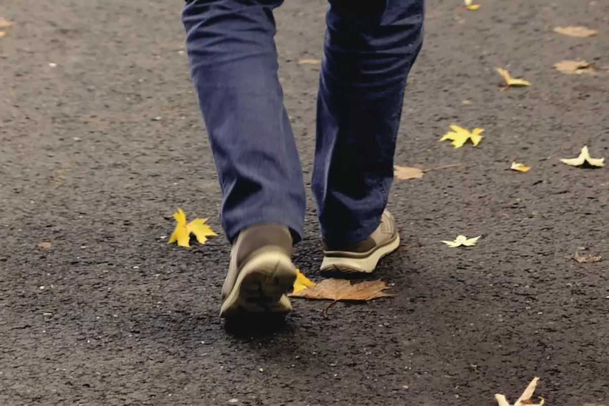 Fransada kişi təsadüfən meteor tapdı – HƏYATI DƏYİŞDİ