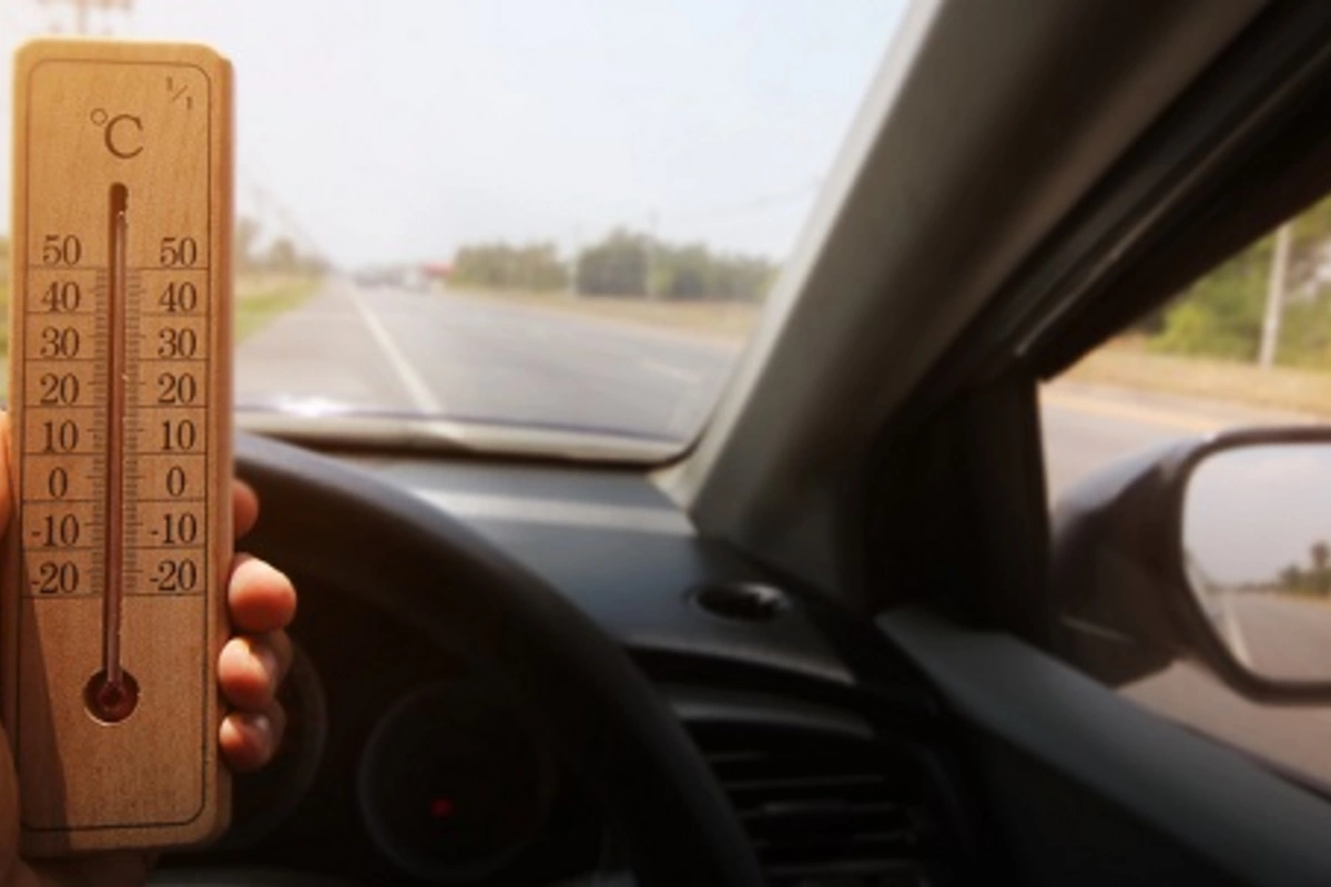 Items that are dangerous to leave in a car in hot weather## Translated from Russian to English