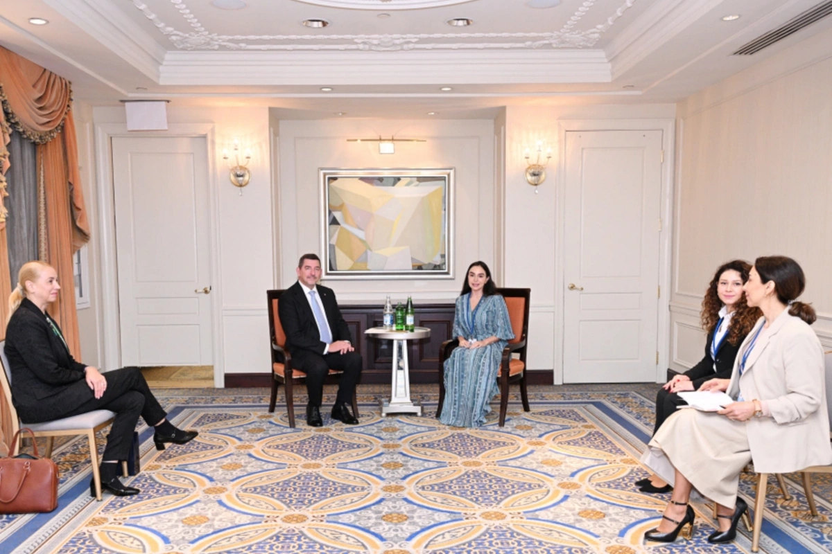Leyla Aliyeva met with the husband of the President of Slovenia Aleš Musar in New York Leyla Aliyeva met with the husband of the President of Slovenia Aleš Musar in New York