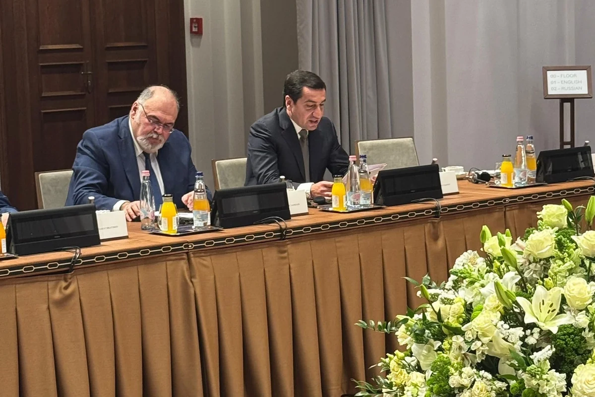 Hikmət Hacıyev TDT ölkələri rəhbərlərinin köməkçilərinin görüşündə iştirak edib