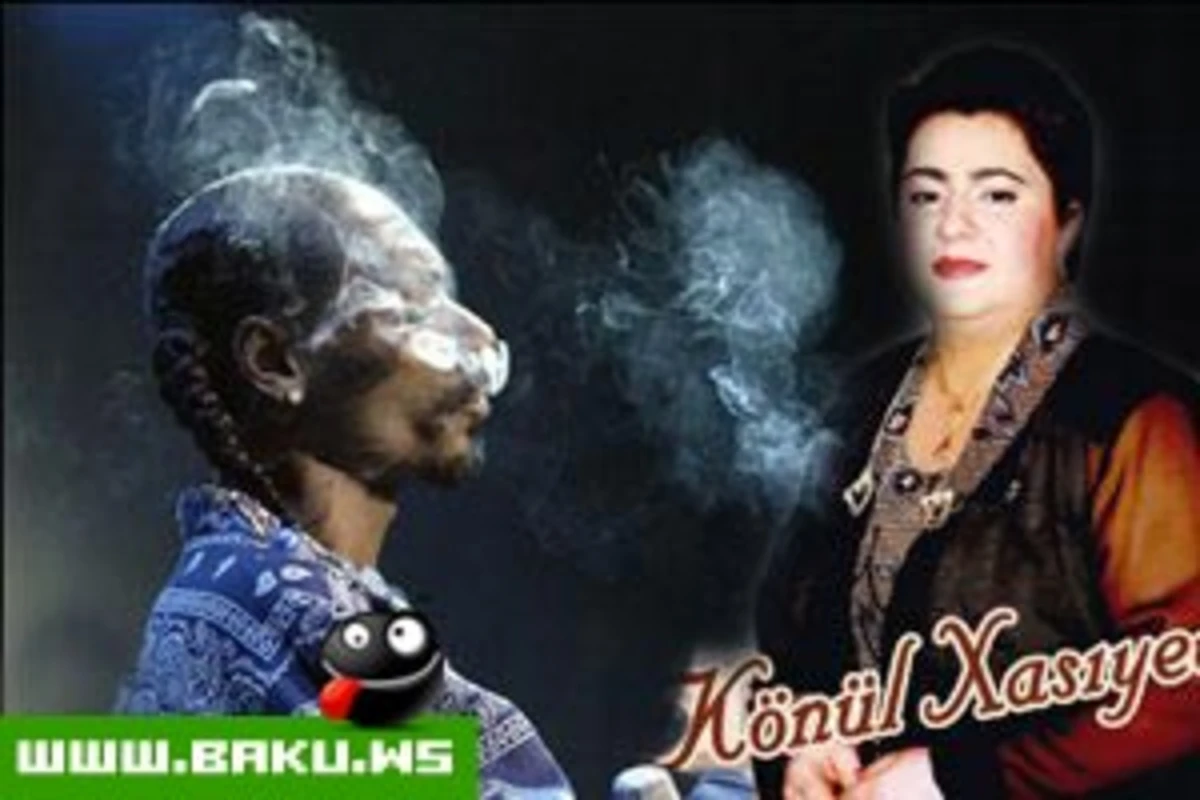 Snoop Doogl ft Konul Xasiyeva - Sevmeyecem (Dj Kamran)