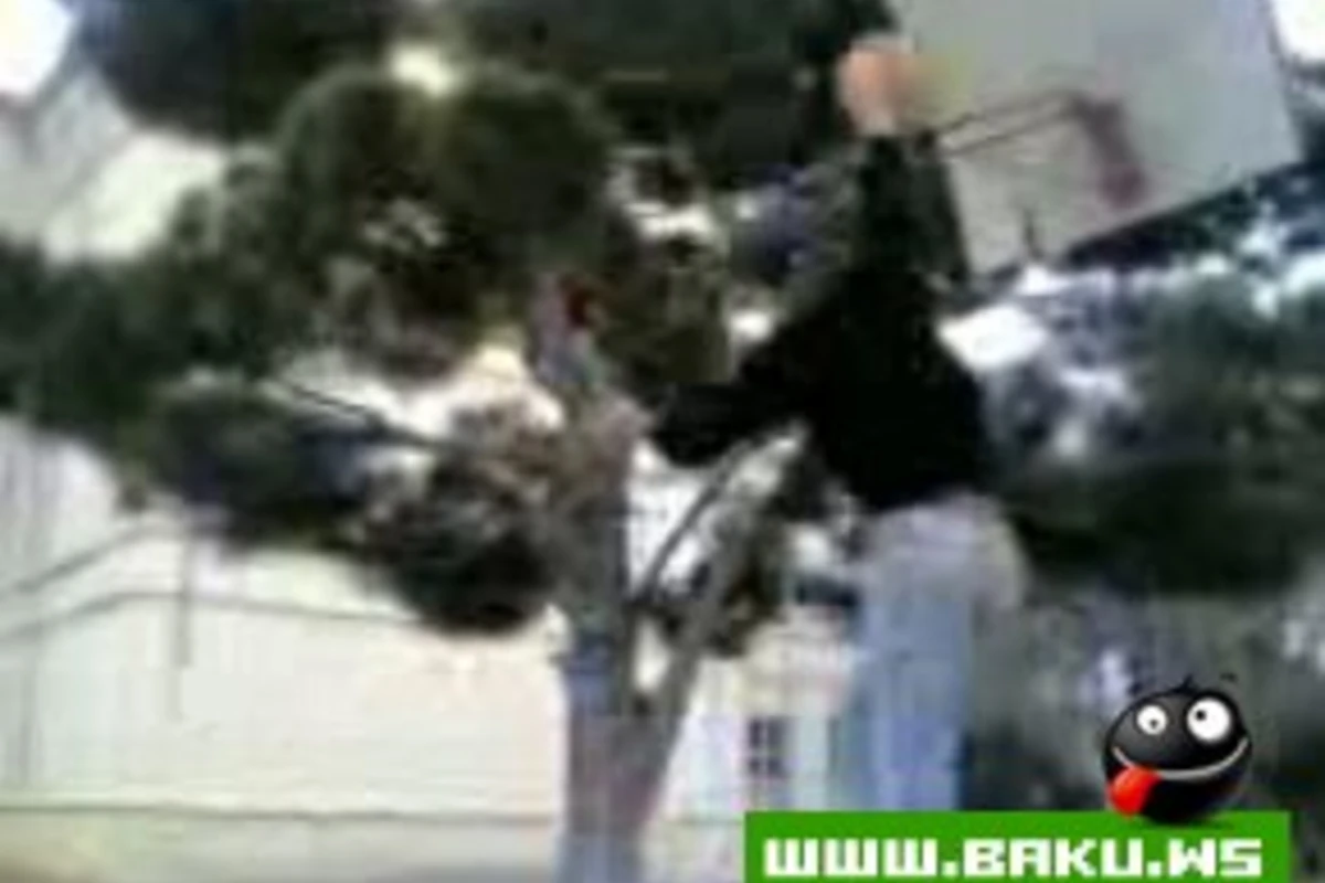 Milli Basketbol Show