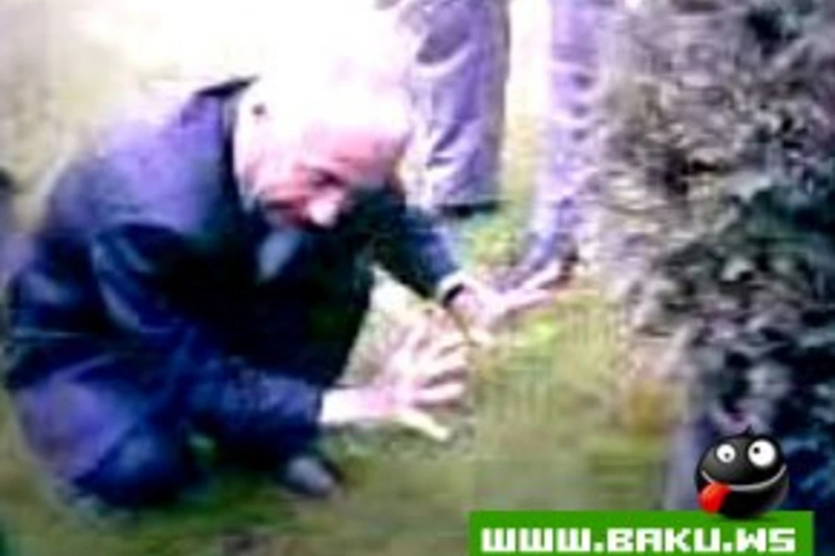 Hacıbala Abutalıbov Sizce Neyneyir ?