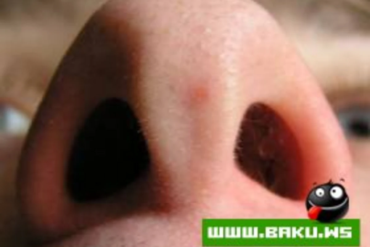 Что может рассказать о человеке его нос?