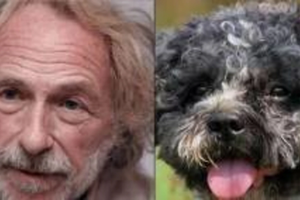 Hollywood mehsurlari heyvan cildinde olsa nece olardi ???