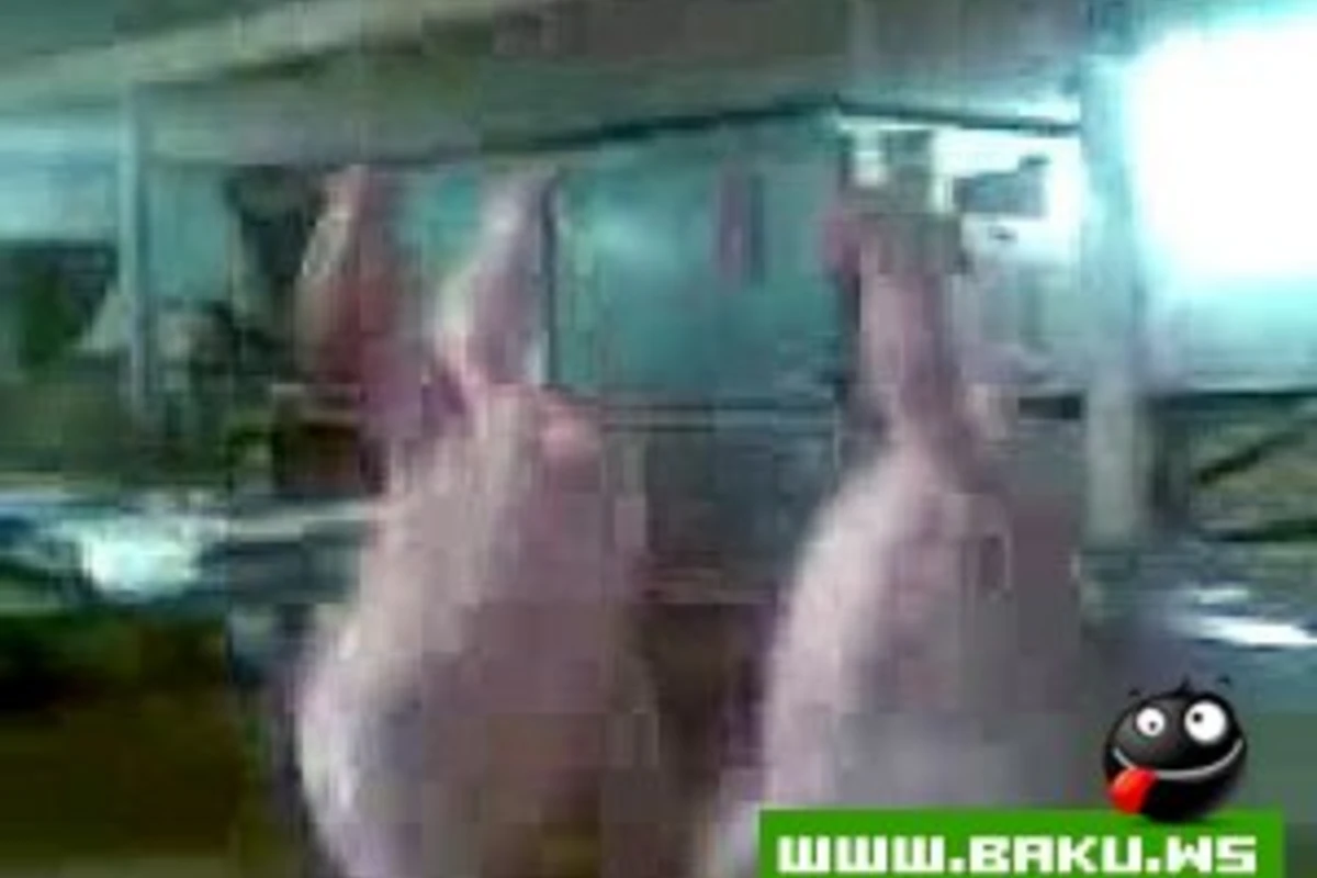 Milli Toy Reqsi :)