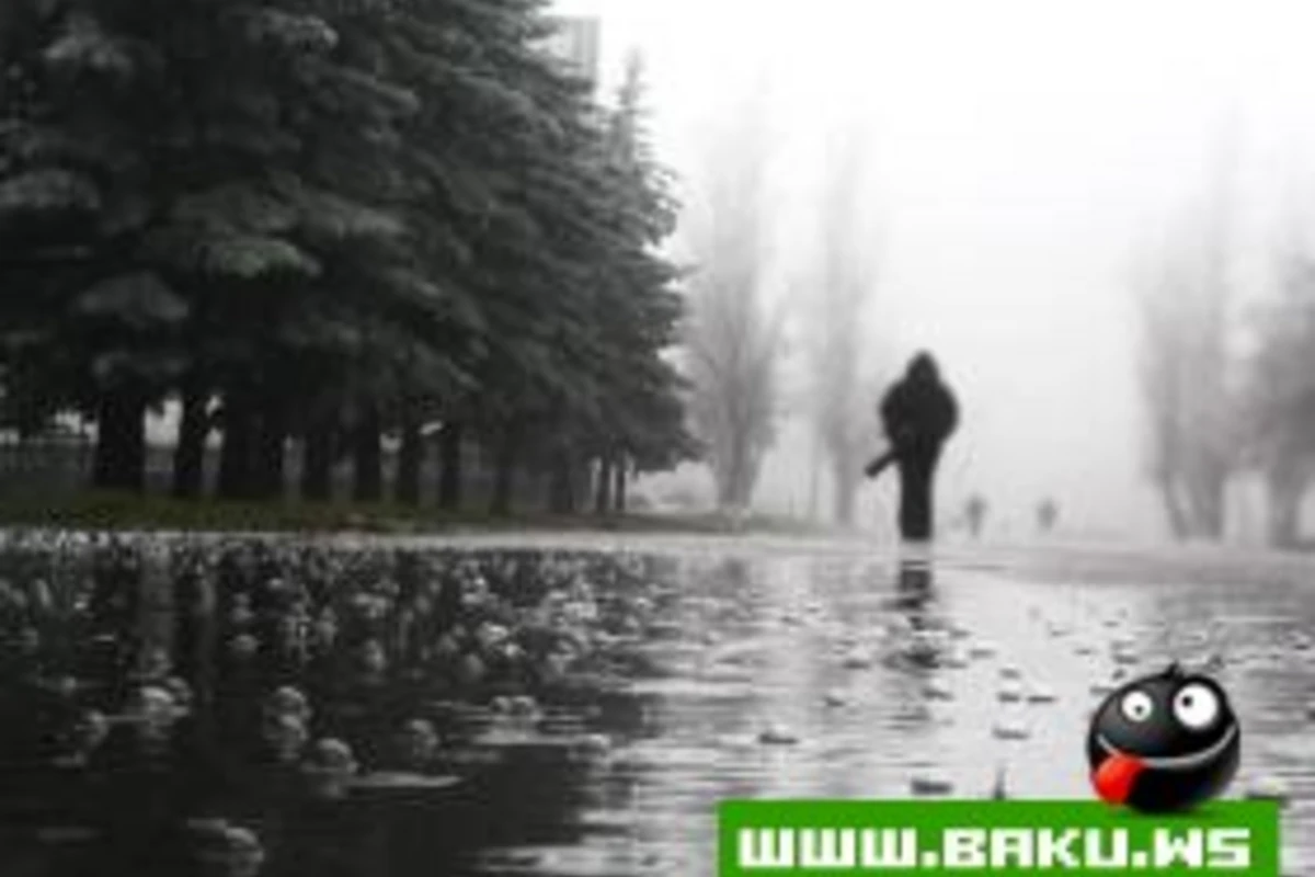 Майский дождь