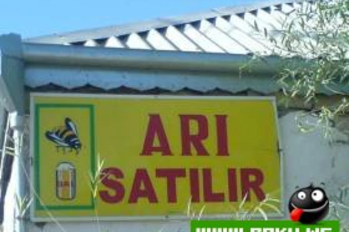 Milli Yumor