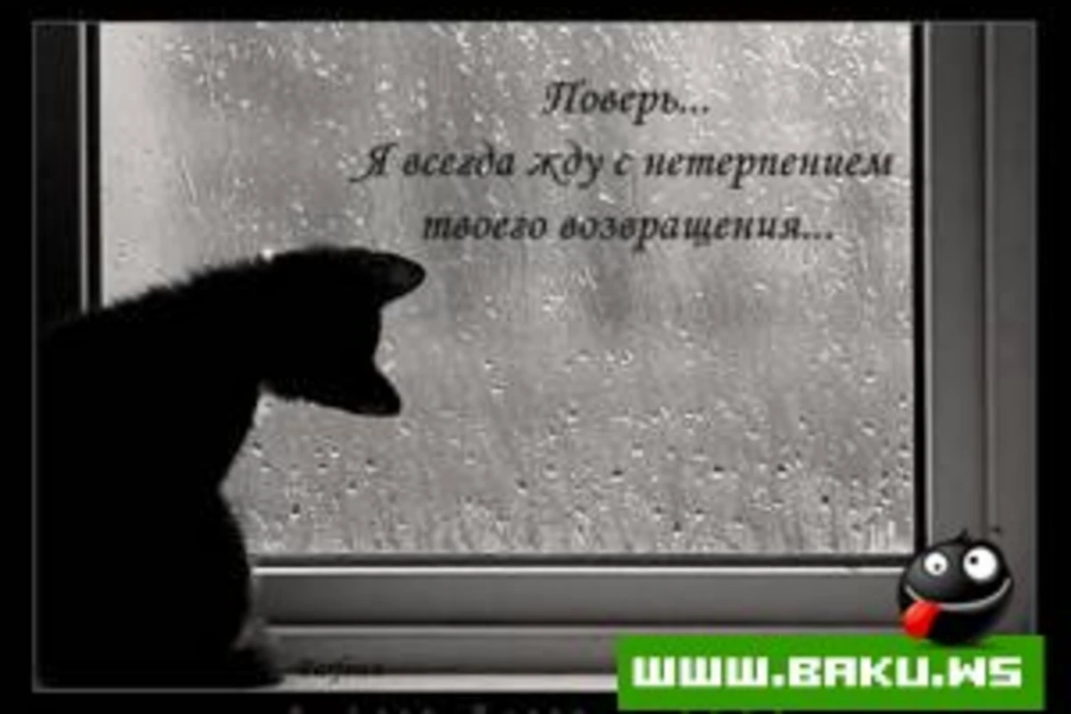Мой Сон