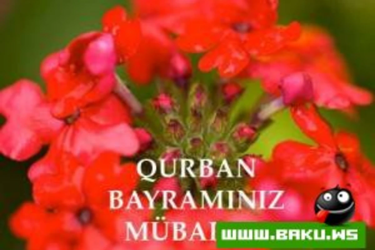 Qurban Bayraminiz Mubarek