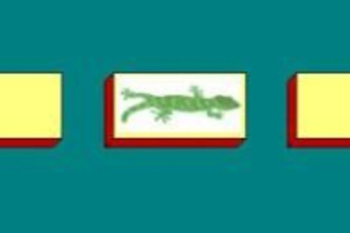 Gecko Oyunu