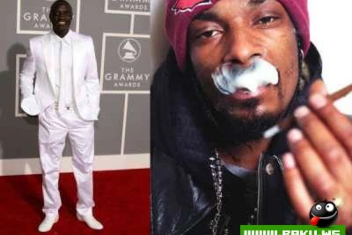 Akon feat.Snoop Dogg - Day Dreaminnew