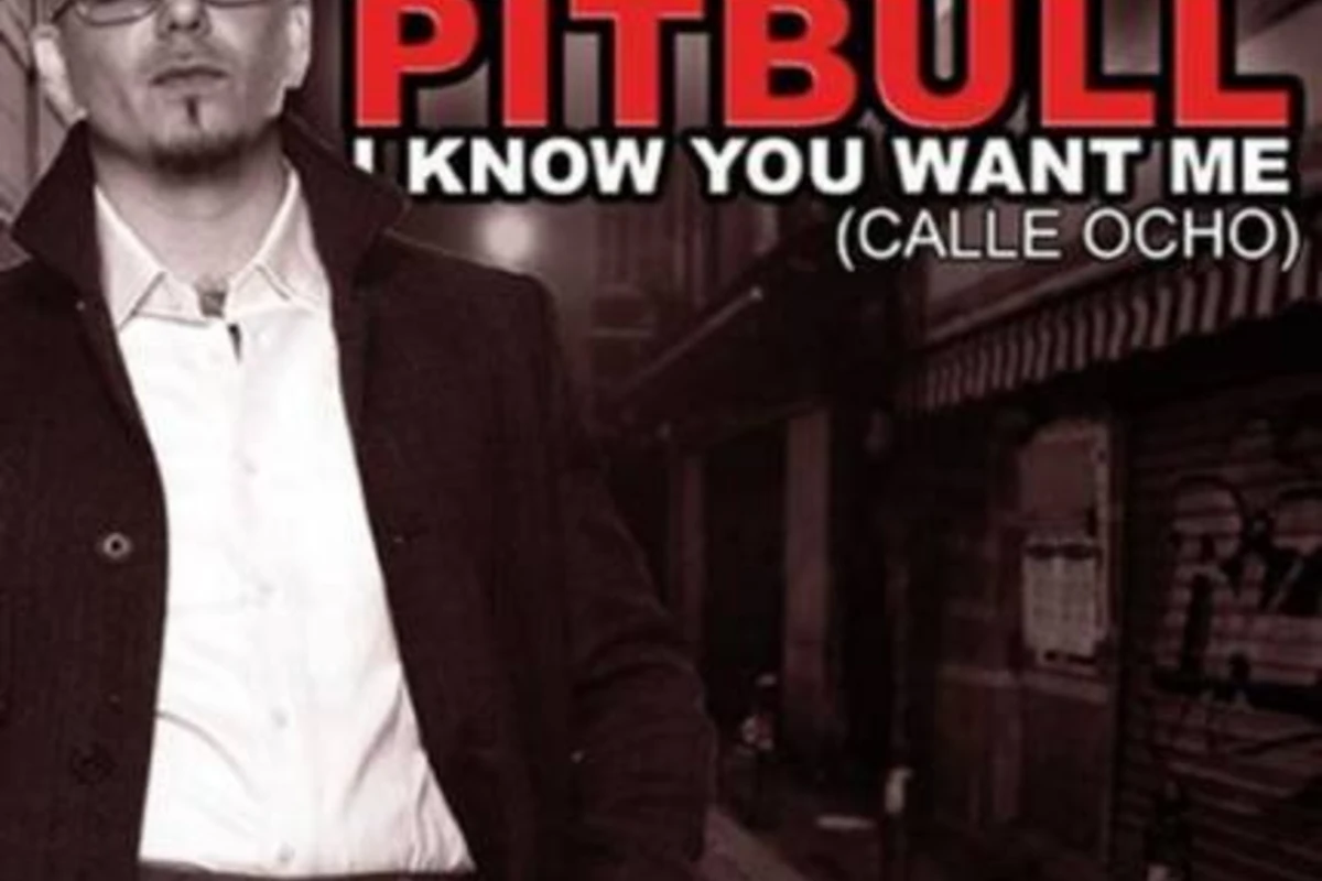 Pitbull - I Know You Want Me Want Cha