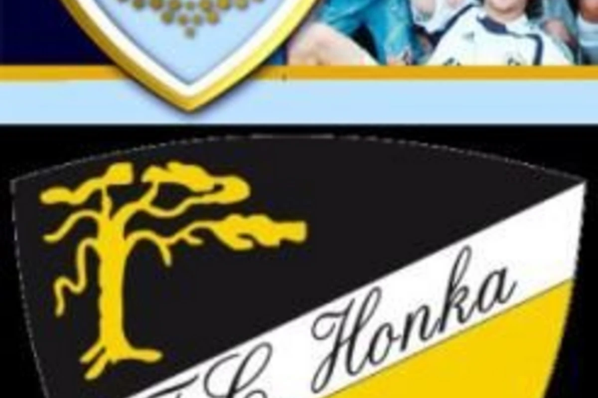 Honka - Qarabağ 0-1