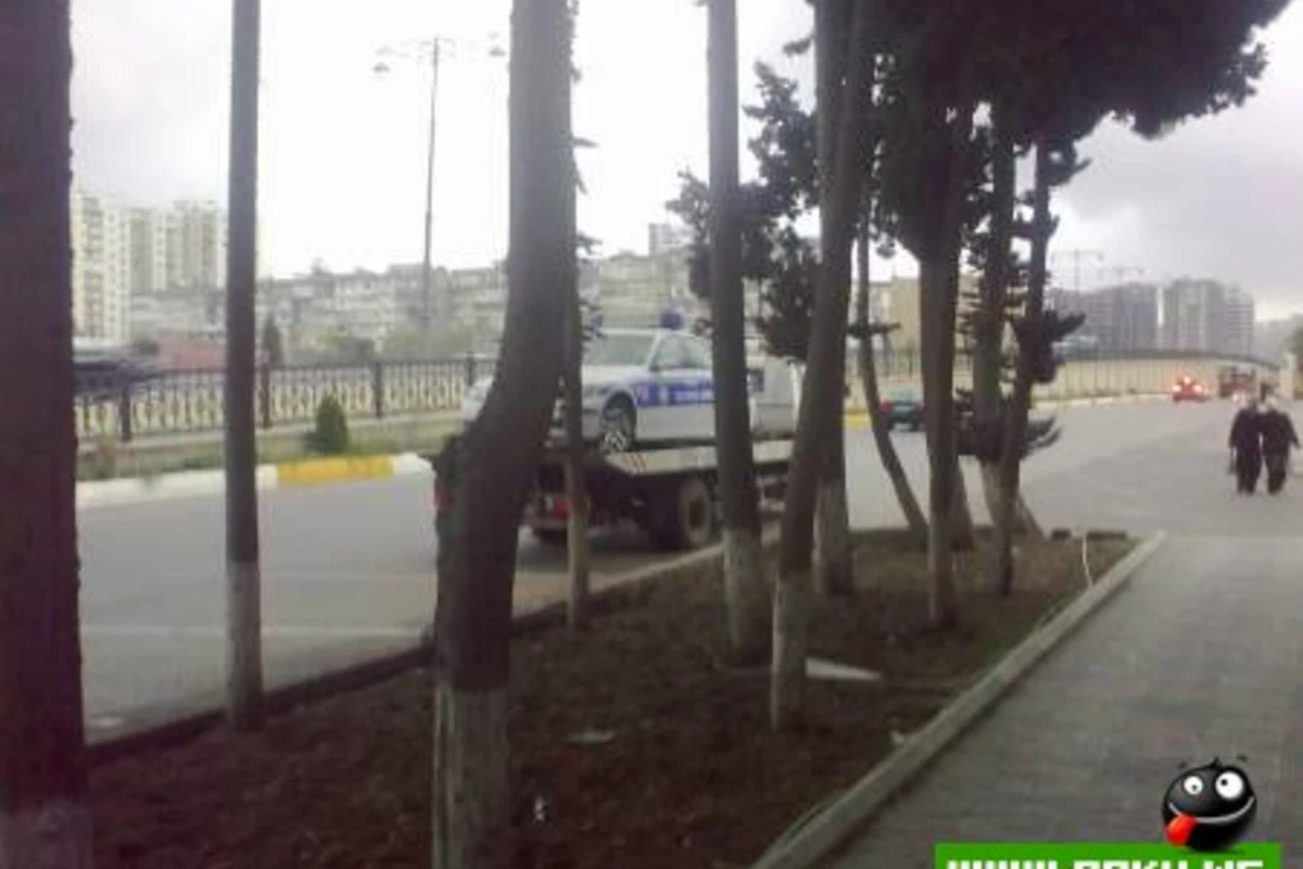 İgid Ölər Adı Qalar