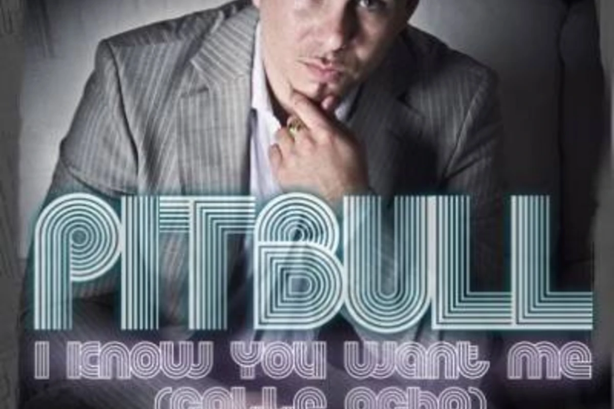 Pitbull - I Know You Want Me (Calle Ocho Remix)