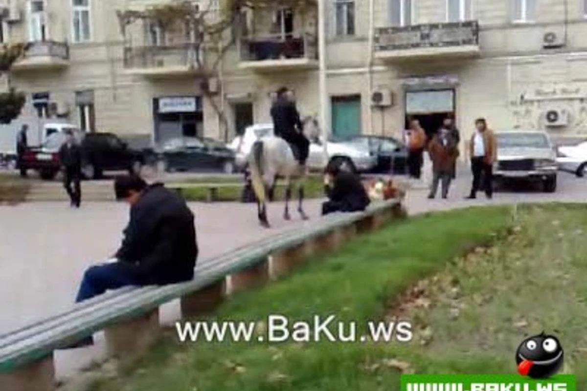 Milli At - Bakı kuçelerinde !