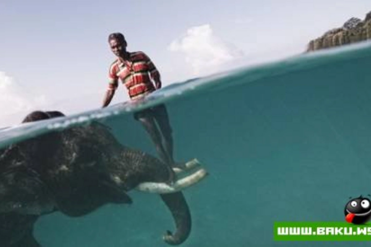 Fotoşəkil müsabiqəsi National Geographic 2009