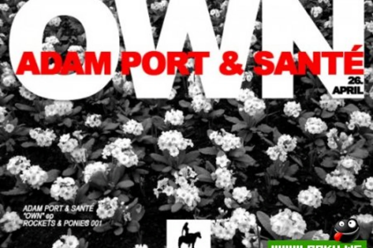 Adam Port Sante - Own