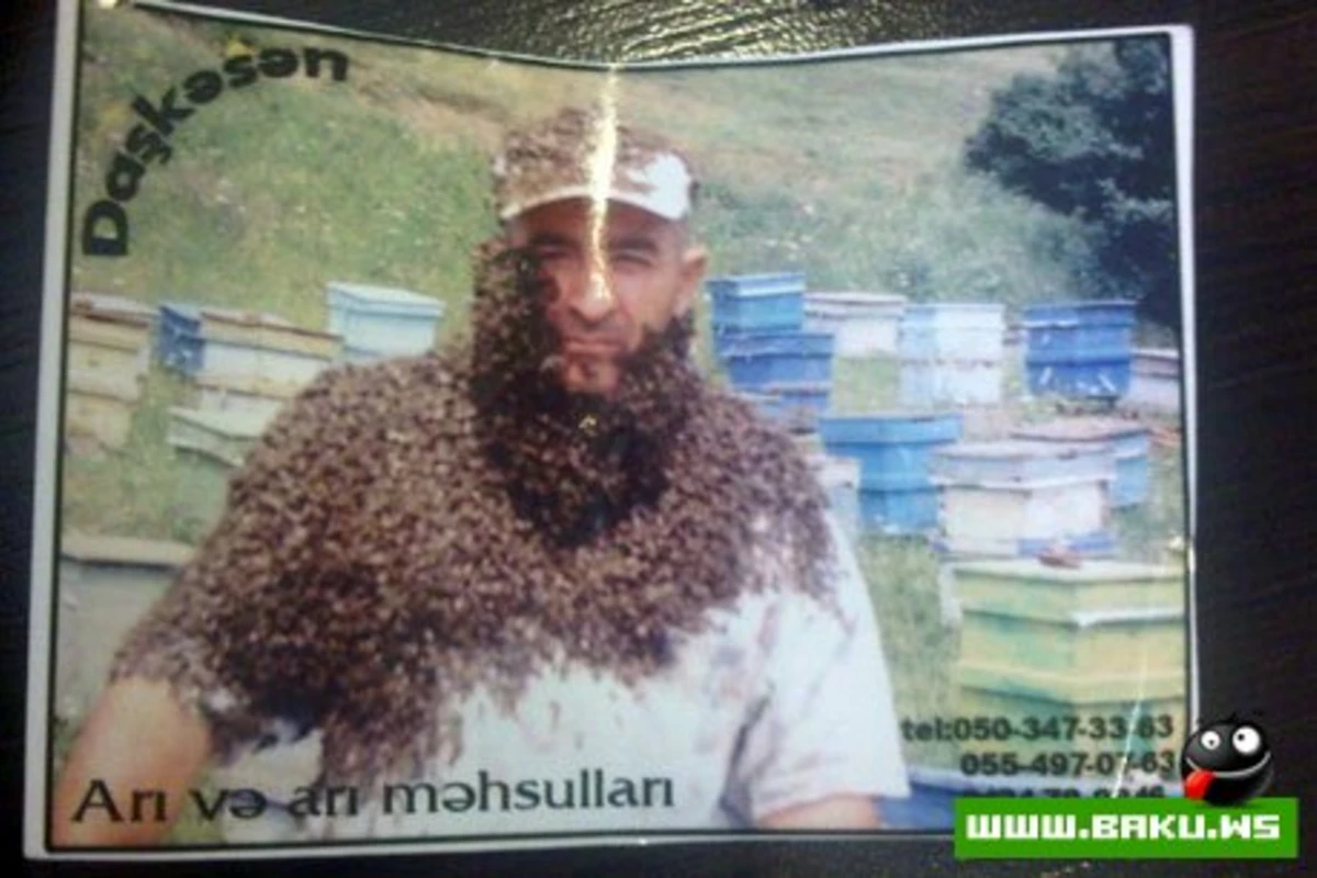 Milli Mr.Arıbaz :)