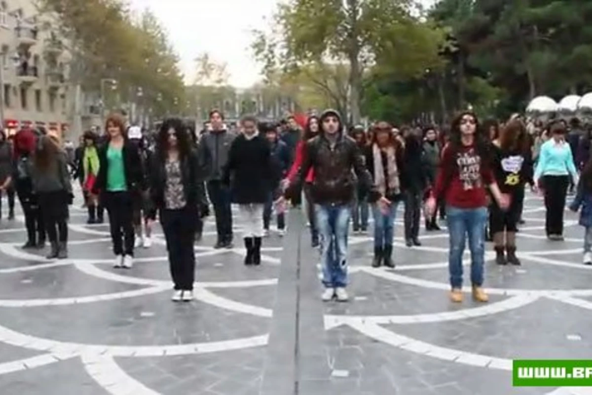 Madagascar Flashmob in Baku - 21.11.2011