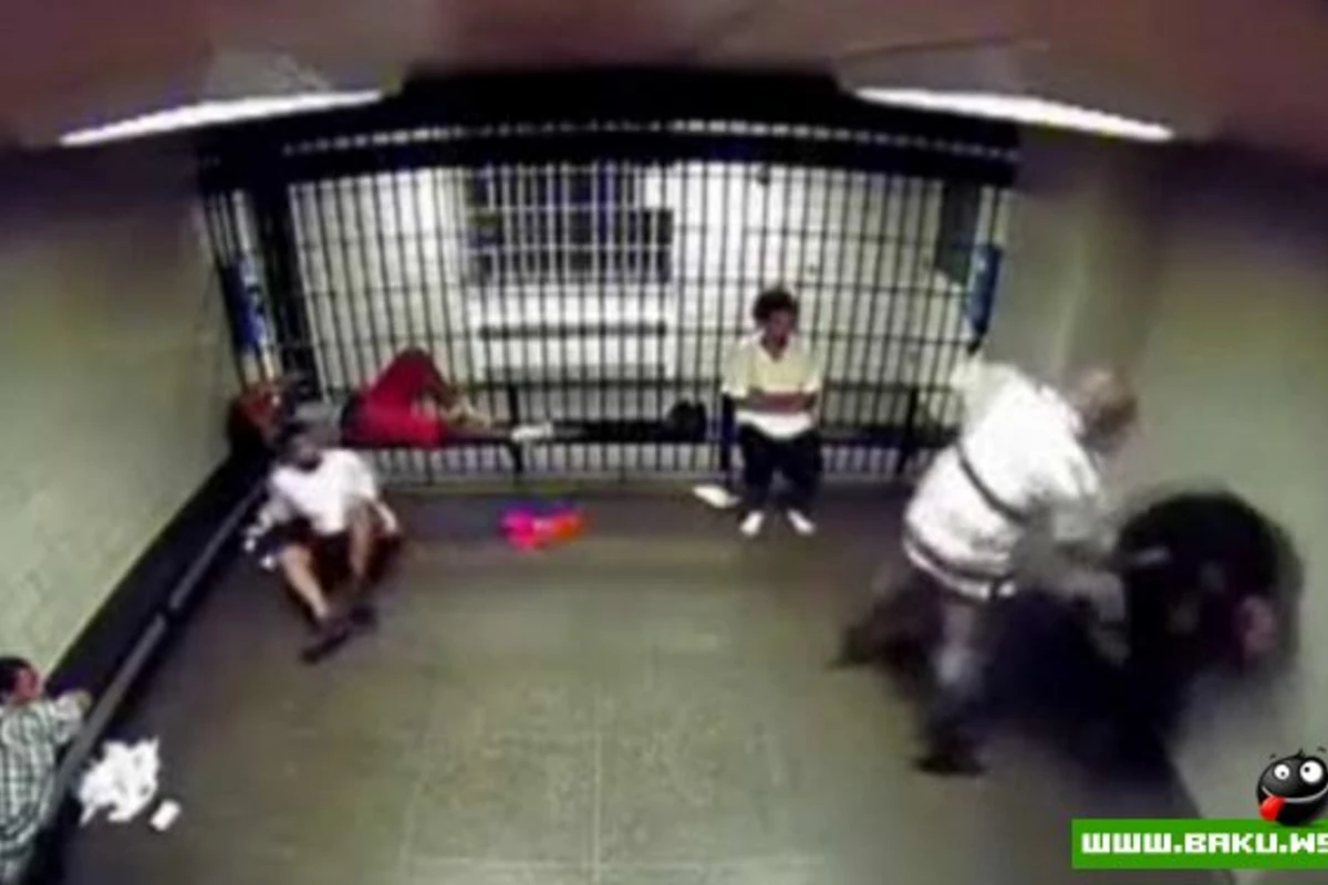 драка школьниц 