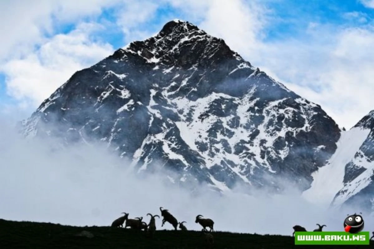 Горы Кавказа (49  фото)