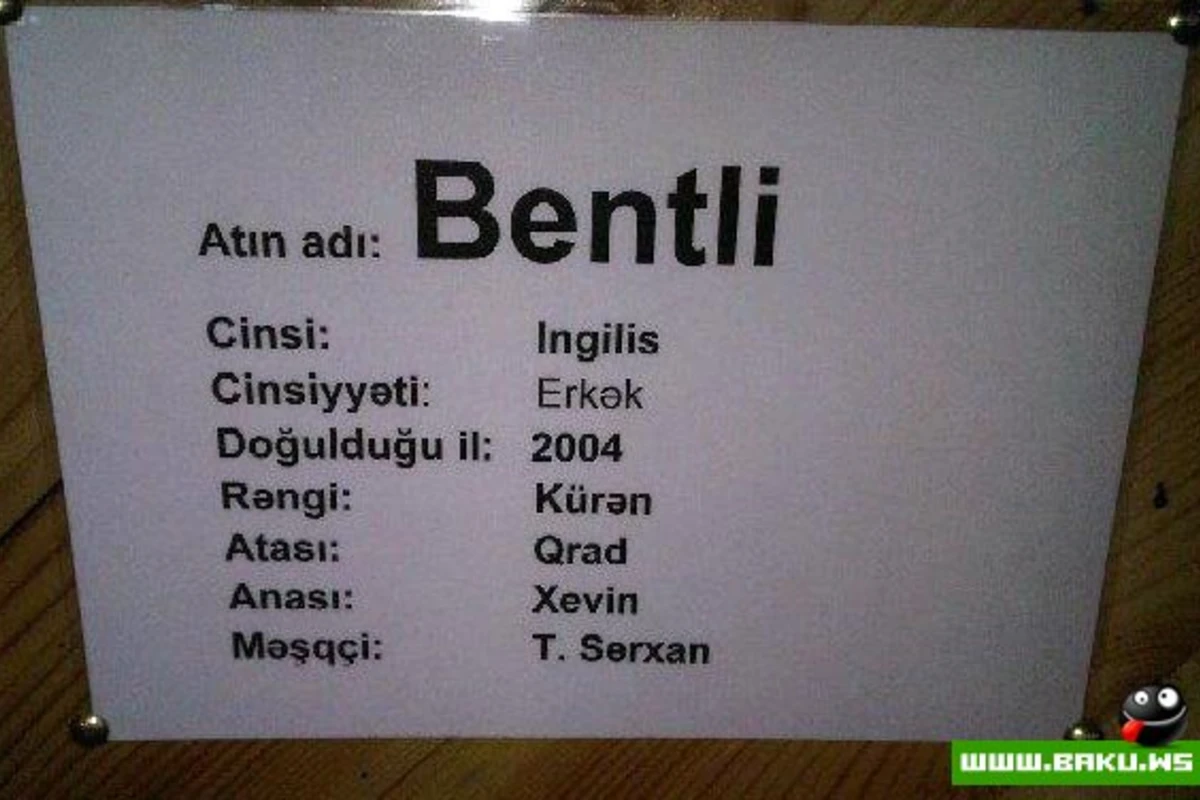 Bizim Bentli =)