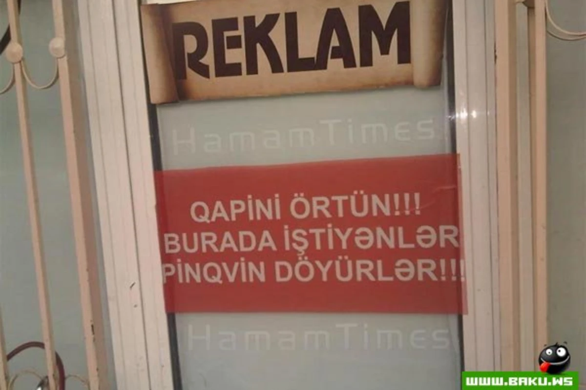 Milli Pinqvinlər =)